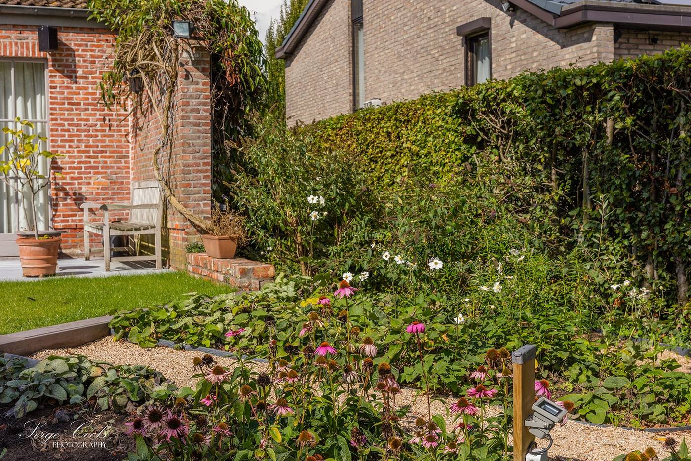 Landelijke tuin met palissade — beeld 2