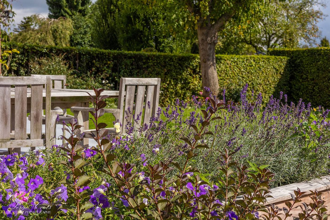 Landelijke tuin met palissade — beeld 5