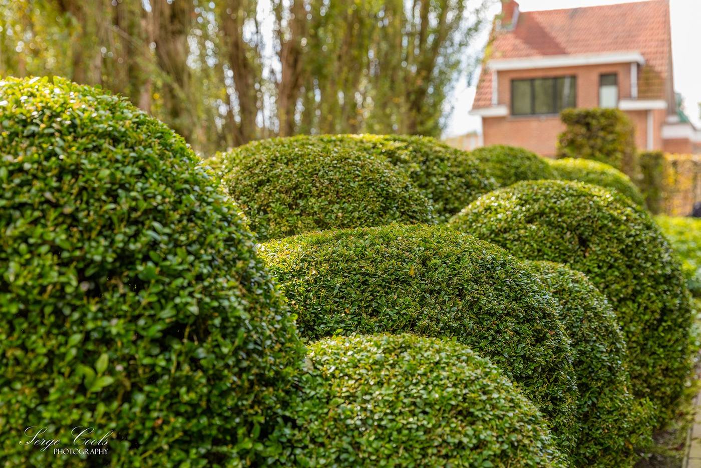Tuinonderhoud