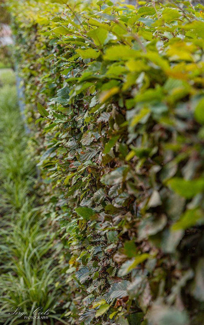 Voortuin met karakter — beeld 3