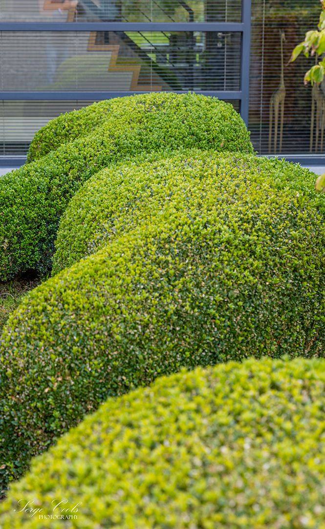 Voortuin met karakter — beeld 4